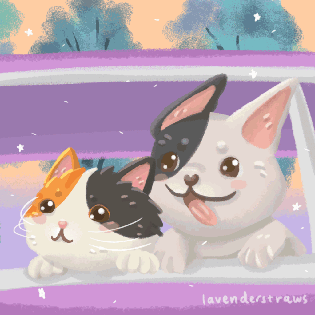 bus-ride