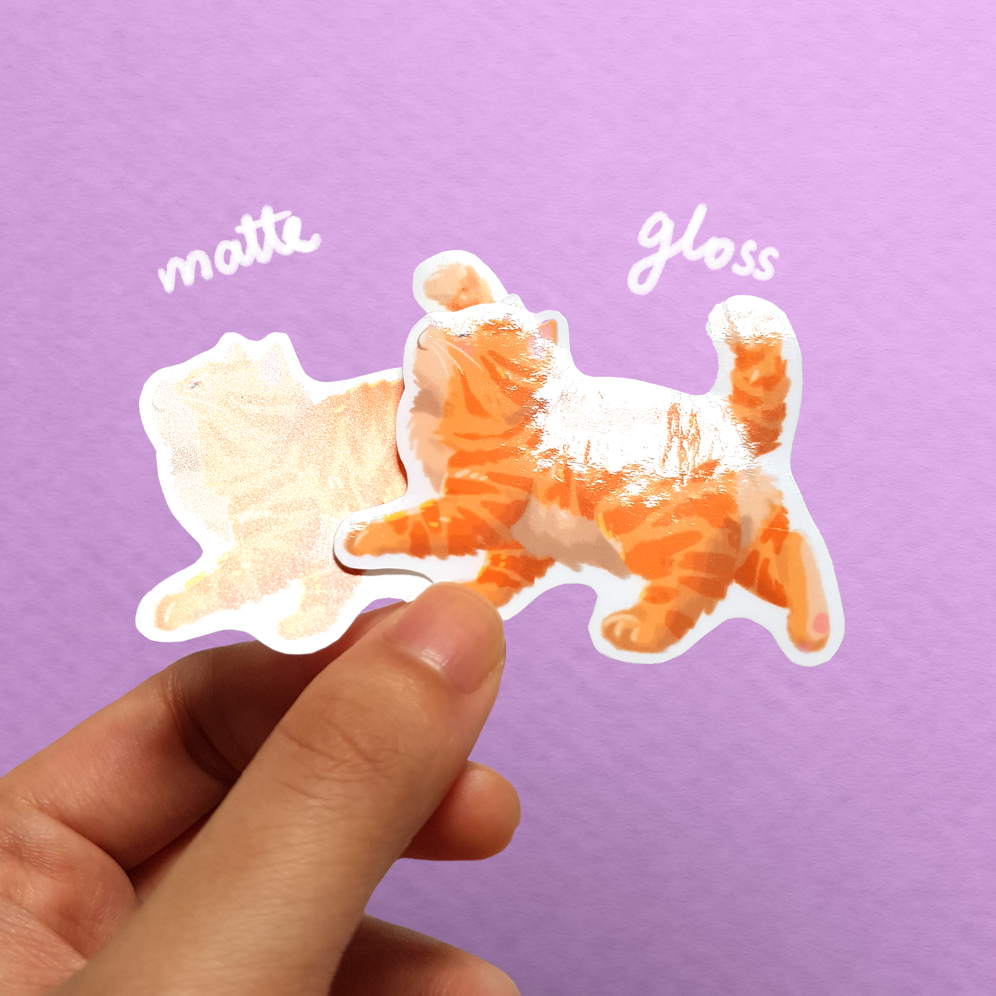 Chonky Babie Orenji Ginger Cat Vinyl Sticker - Image 3