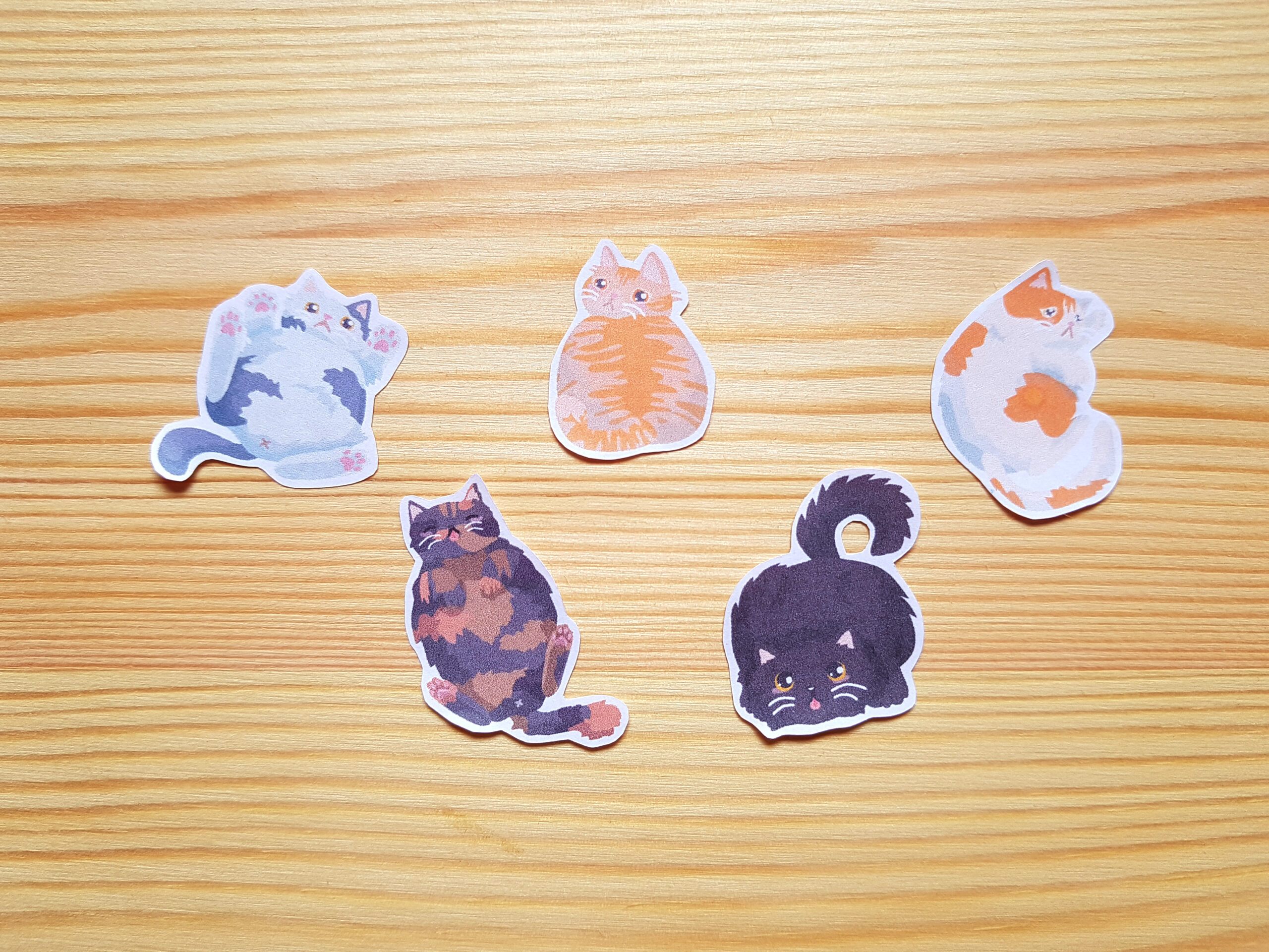 Chonky Cat Sticker Sheet - Image 5